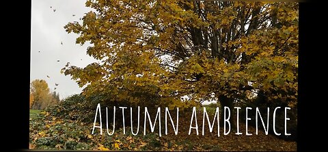AUTUMN AMBIENCE 2023