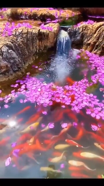 Beautiful place - A peace of heaven!