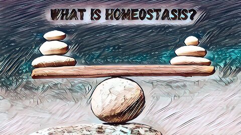 What Is Homeostasis?