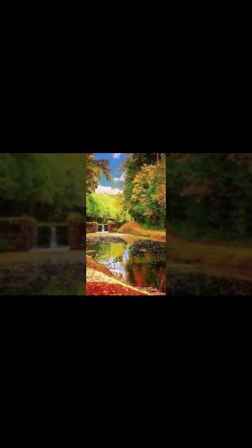 RELAXING MUSIC/DEEP SLEEP MUSIC/autumn ambience music #shorts