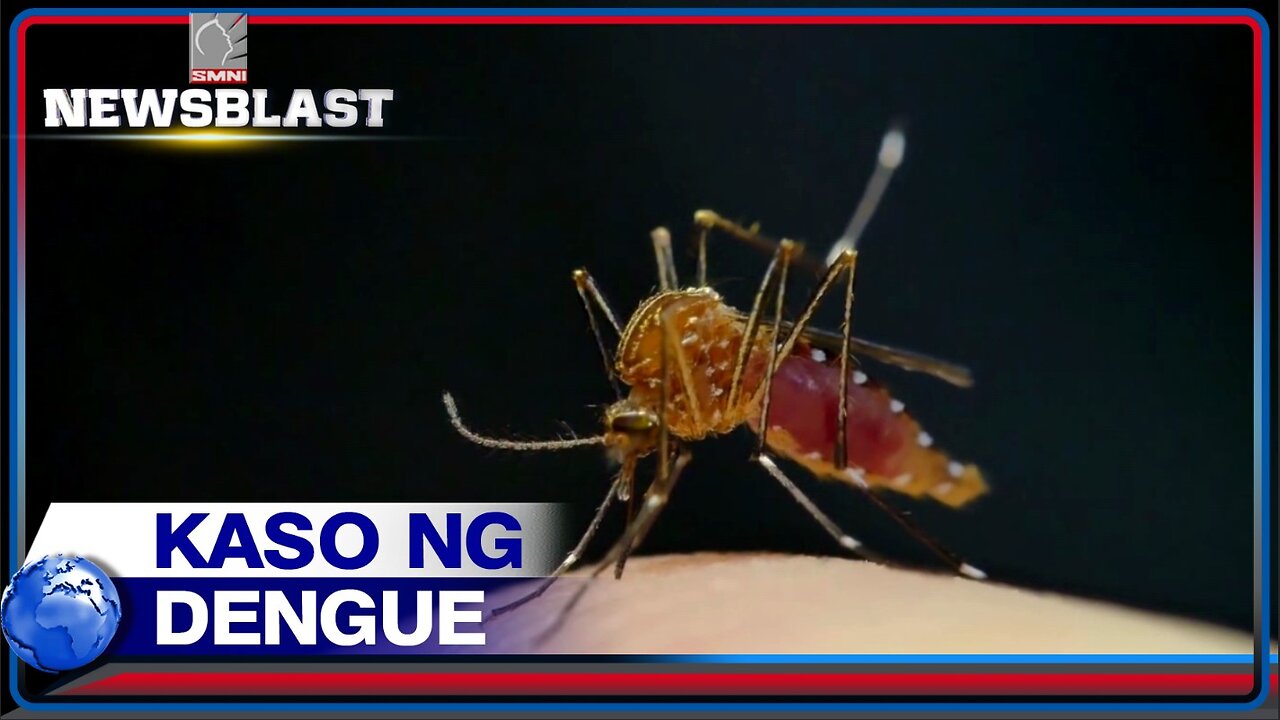 Kaso ng dengue sa Pangasinan, tumaas ng 12% noong 2023; 21 katao, nasawi sa nasabing sakit