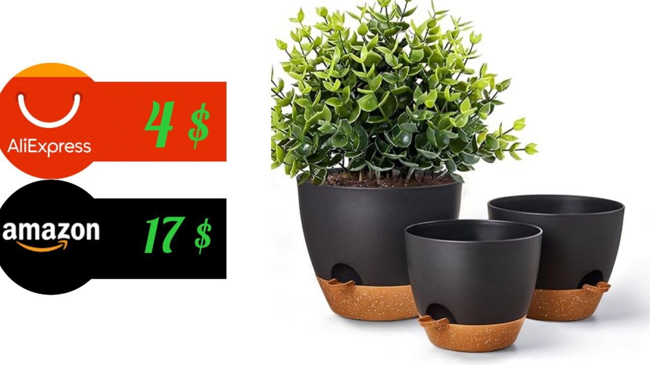 Self-watering plant pots