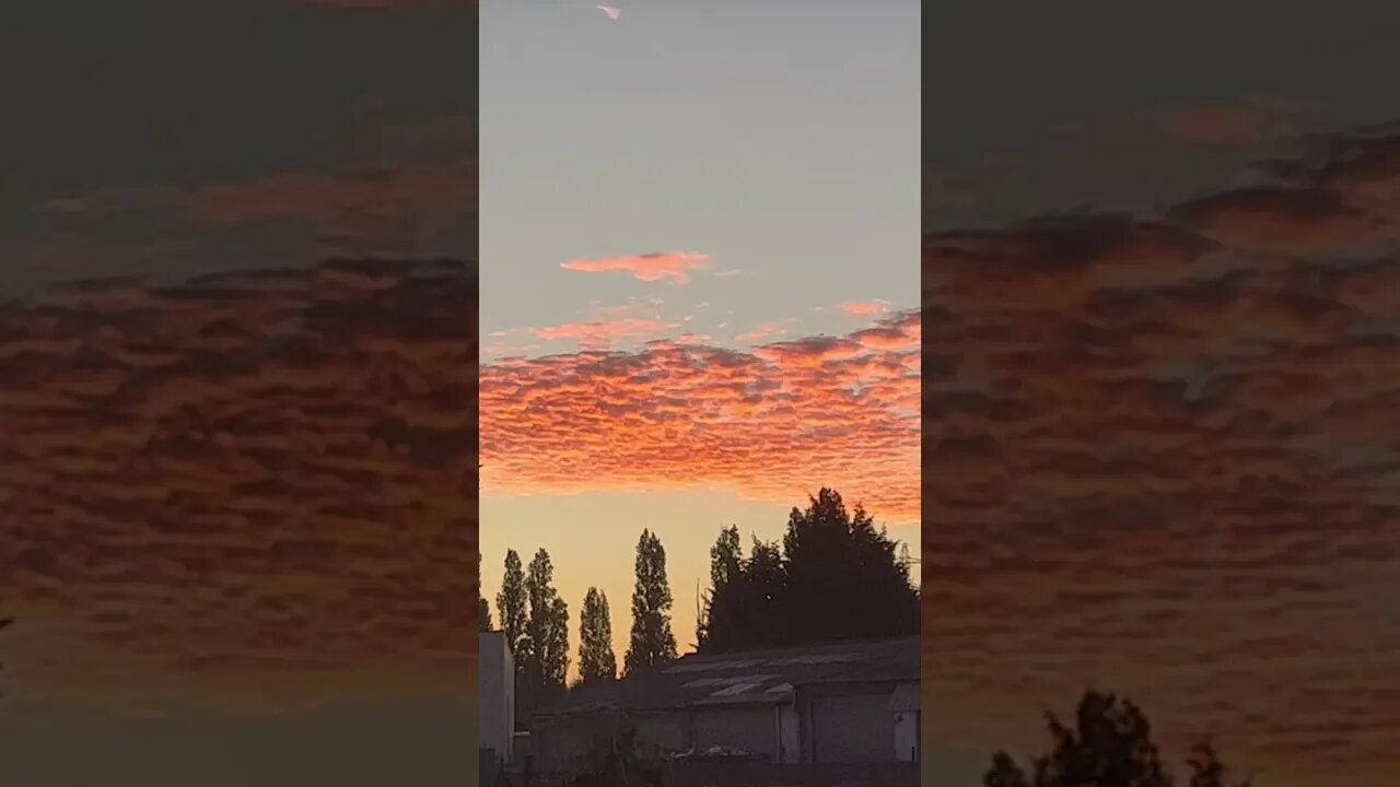 قلوبنا معك اختنا الغالية هنادي @المطبخ التركي المتنوع