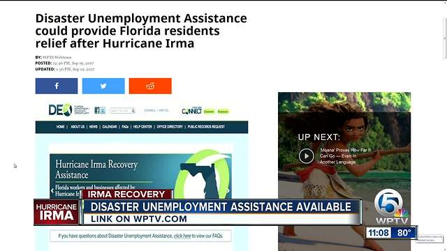 Disaster Unemployment Assistance could provide Florida residents relief after Irma