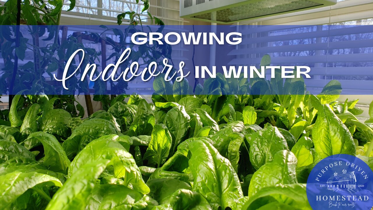 Growing Indoors in Winter?