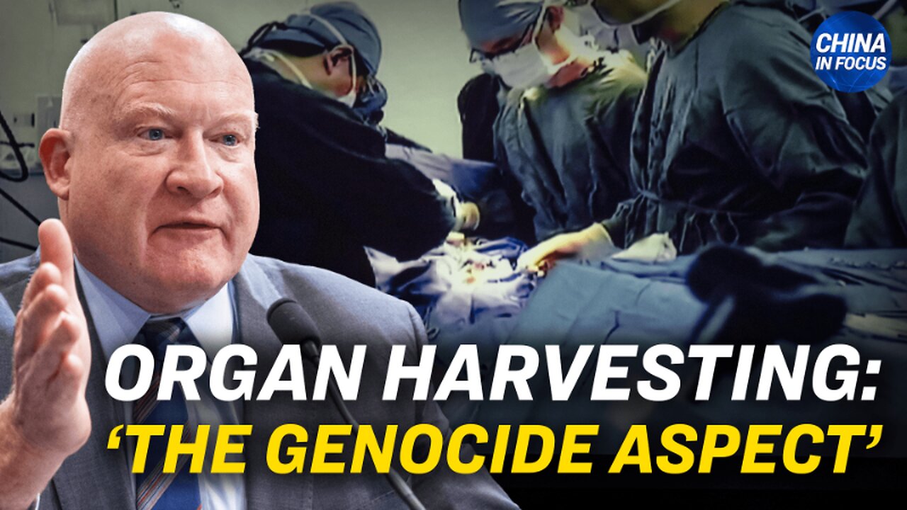 ‘Organ Harvesting Is the Genocide Aspect’: Expert