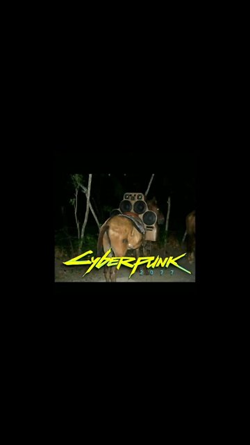 Cyberpunk 2077 memes #shorts