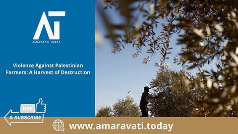 Violence Against Palestinian Farmers A Harvest of Destruction | Amaravati Today