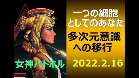一つの細胞としてのあなた＆多次元意識への移行:女神ハトホル 日本語訳：Nao