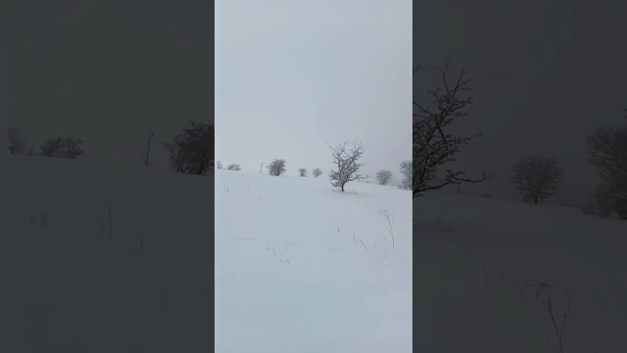 #shorts nochmal #winter im #vorharz