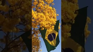 Bom dia!