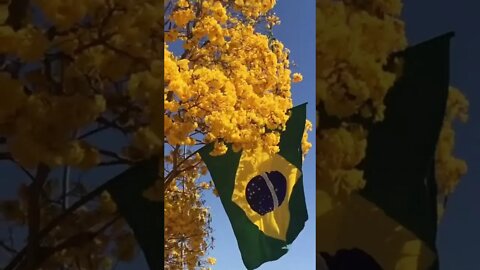 Bom dia!