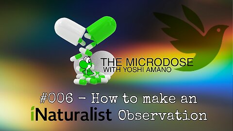 How to make an iNaturalist observation - The Microdose w/ Yoshi Amano ep 006