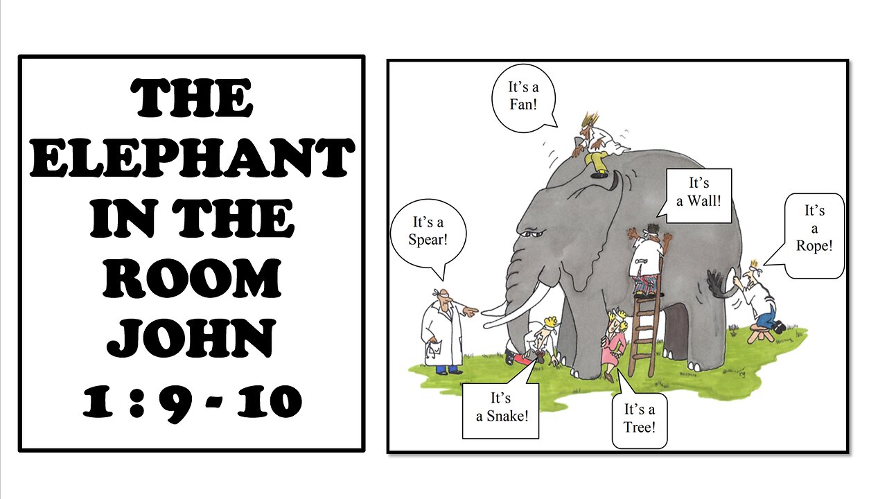 The Elephant In The Room John 1: 9-13