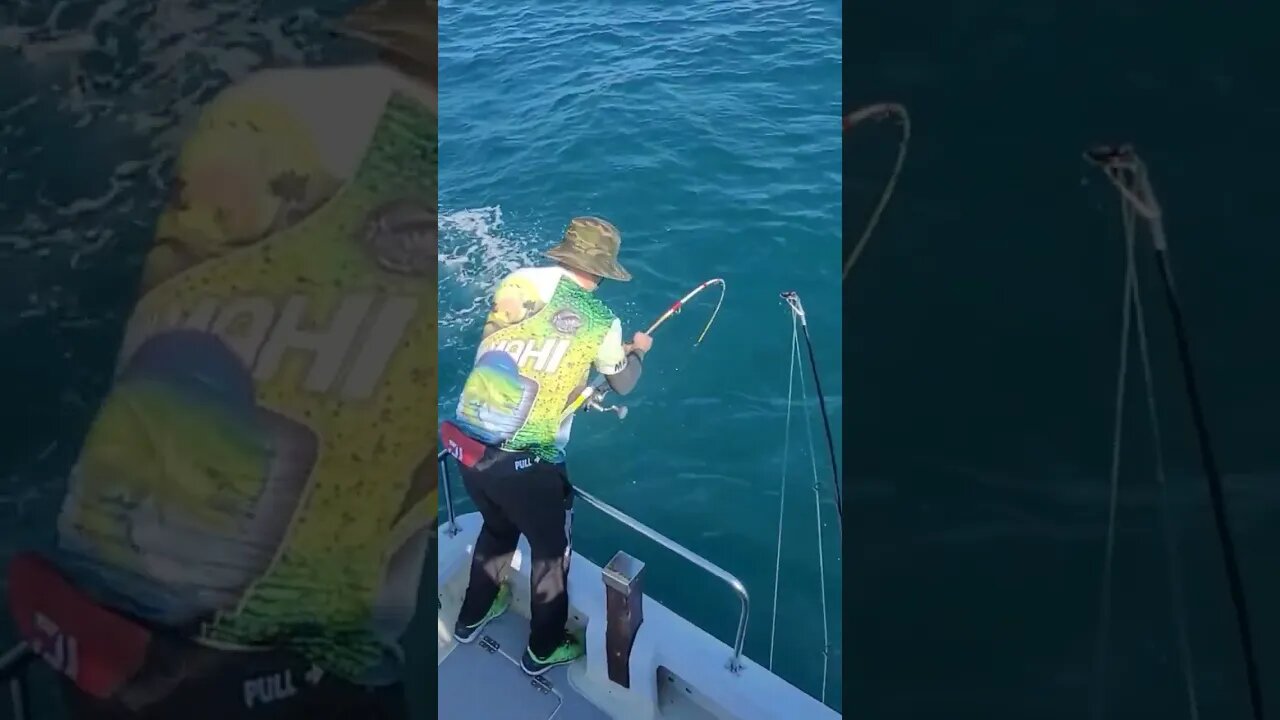 lá se foi uma peixeira. #pescaria #shorts