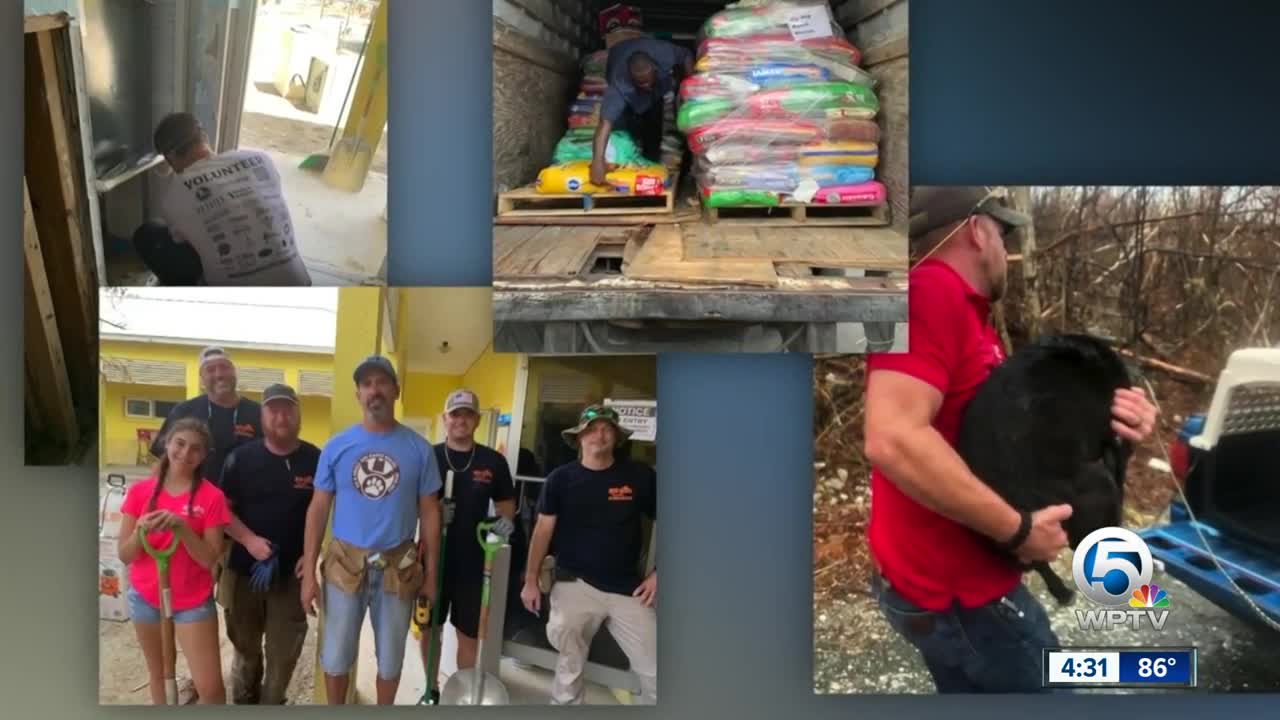 Relief efforts underway to help dogs in the Bahamas