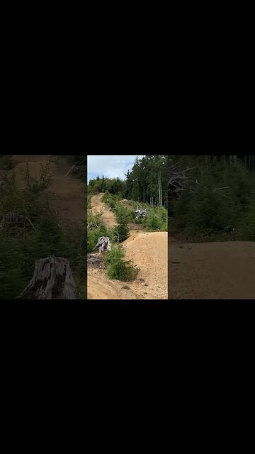 Learning how the Heckler SL jumps. #mtb #ytshorts #loamwolf