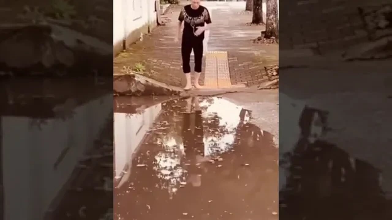 Even Animals laugh at us Human behavior LOL #Shorts