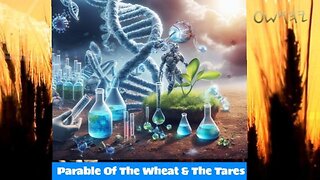 The Parable Of The Wheat And The Tares