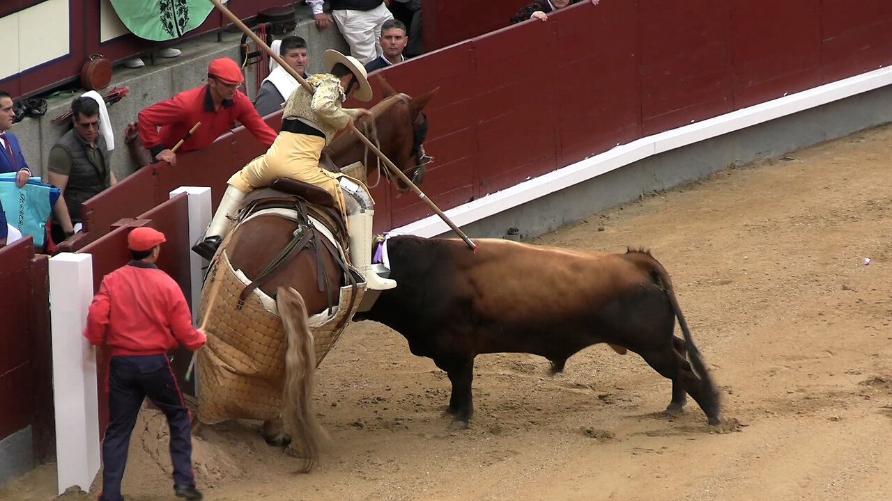 2024 03 24 MADRID CORRIDA DE TOROS CUADRI