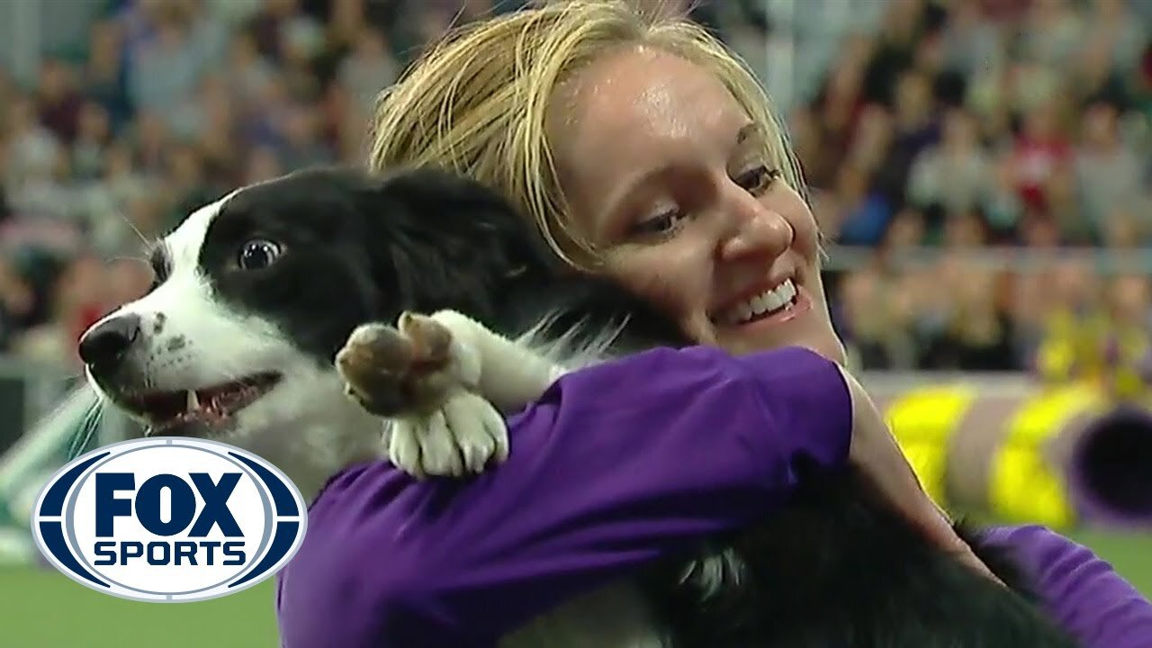 P!nk, the Border Collie, Secures Consecutive Victories at the 2019 WKC Masters Agility Championship