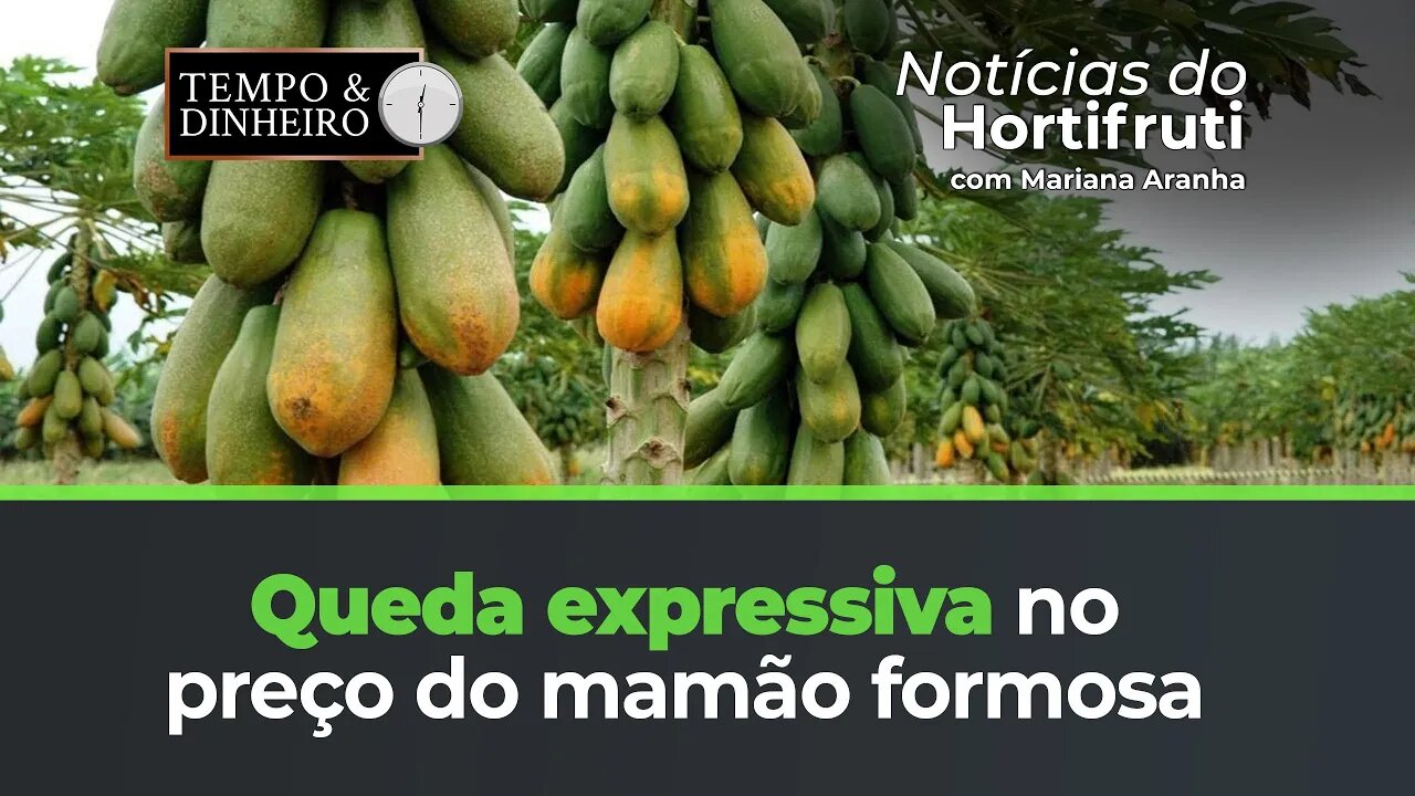 Altas no atacado para a batata e o tomate. Queda expressiva no preço do mamão formosa