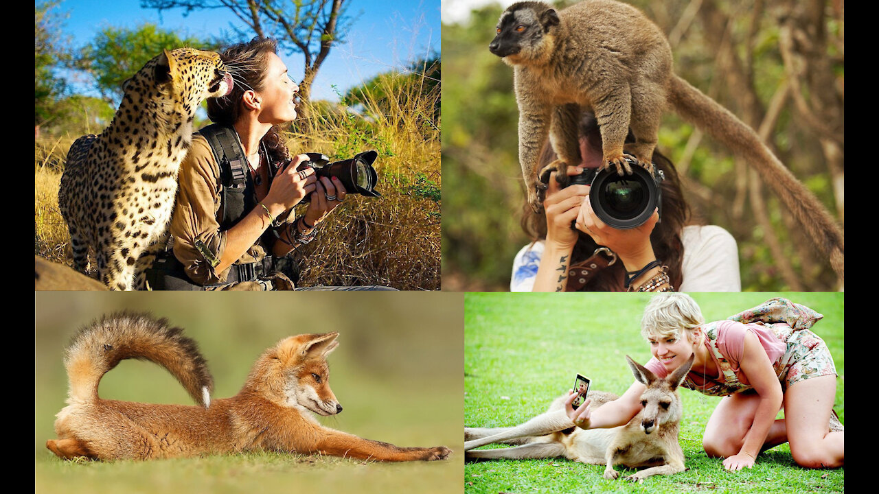 Precius Moments of Animal