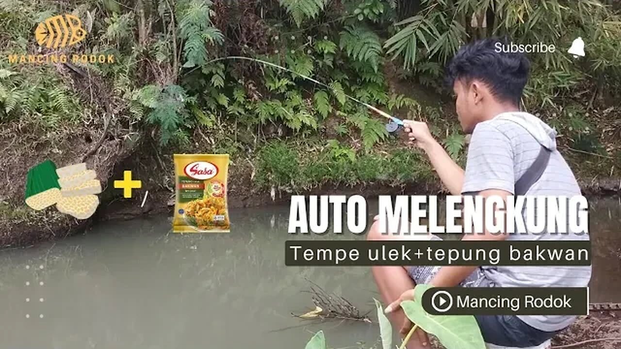 AMPUH BANGET!! UMPAN RACIKAN INI BIKIN MANCING DI KALI AUTO PANEN IKAN @mancingrodok