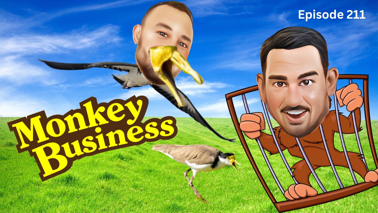 Monkey Business - The VK Bros Episode 211