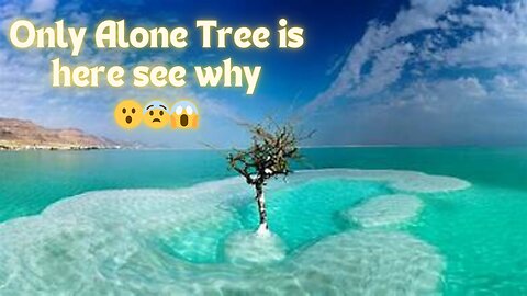 Dead Sea Has Finally Dried Up, And Terrifying Things Are Emerging Now