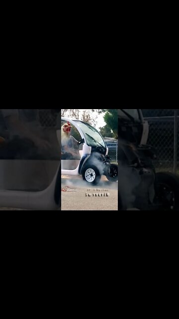 The Gem LIVES! WATCH NOW!! bukcok!