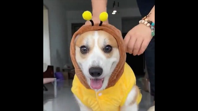 🐝