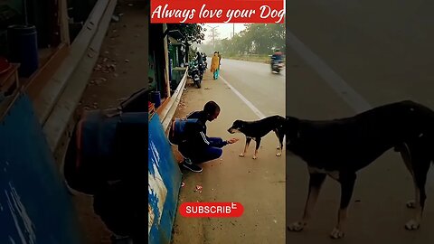 Animal lovers❤️Always love your Dog#shorts #viralshorts #youtubeshorts #animals