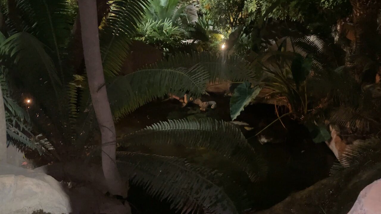 5 minutes to Relax at the Spa