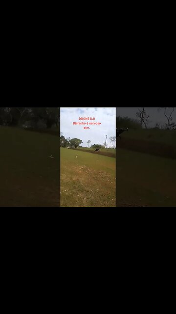 Drone em alta velocidade, drone top speed #viral #shorts #fy #fyp #dronemavic #dronemini2 #drone