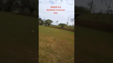 Drone em alta velocidade, drone top speed #viral #shorts #fy #fyp #dronemavic #dronemini2 #drone