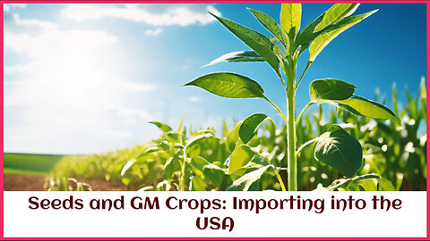 Mastering the Import Process: Agricultural Seeds and GMO Crops