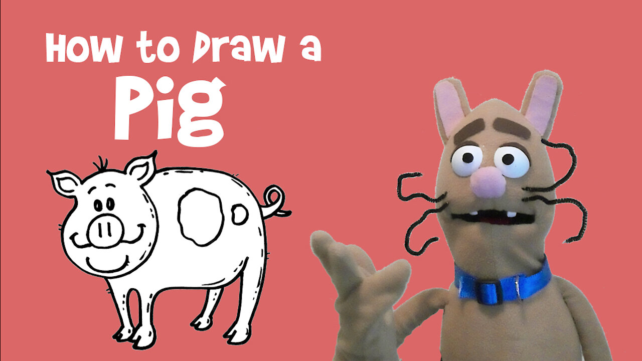 How to Draw a Pig