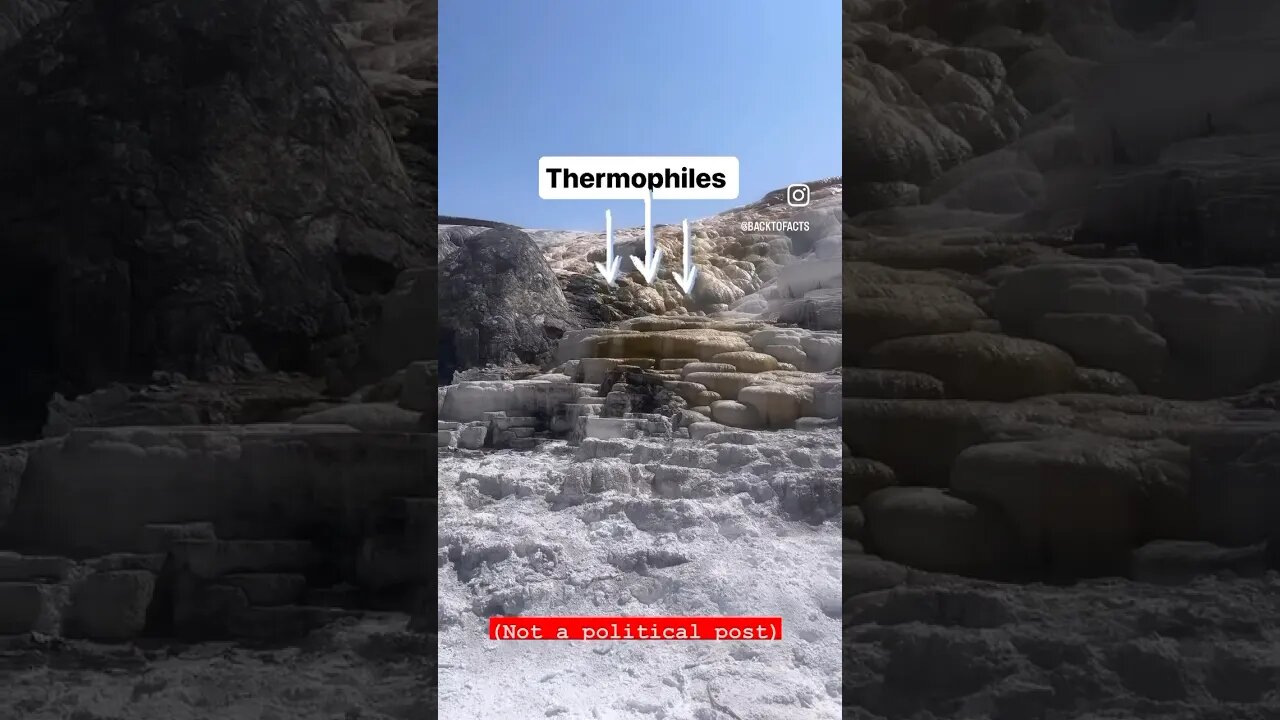 Your Non-Political Moment of Science: Thermophiles #datanerd #back2facts #travelogue