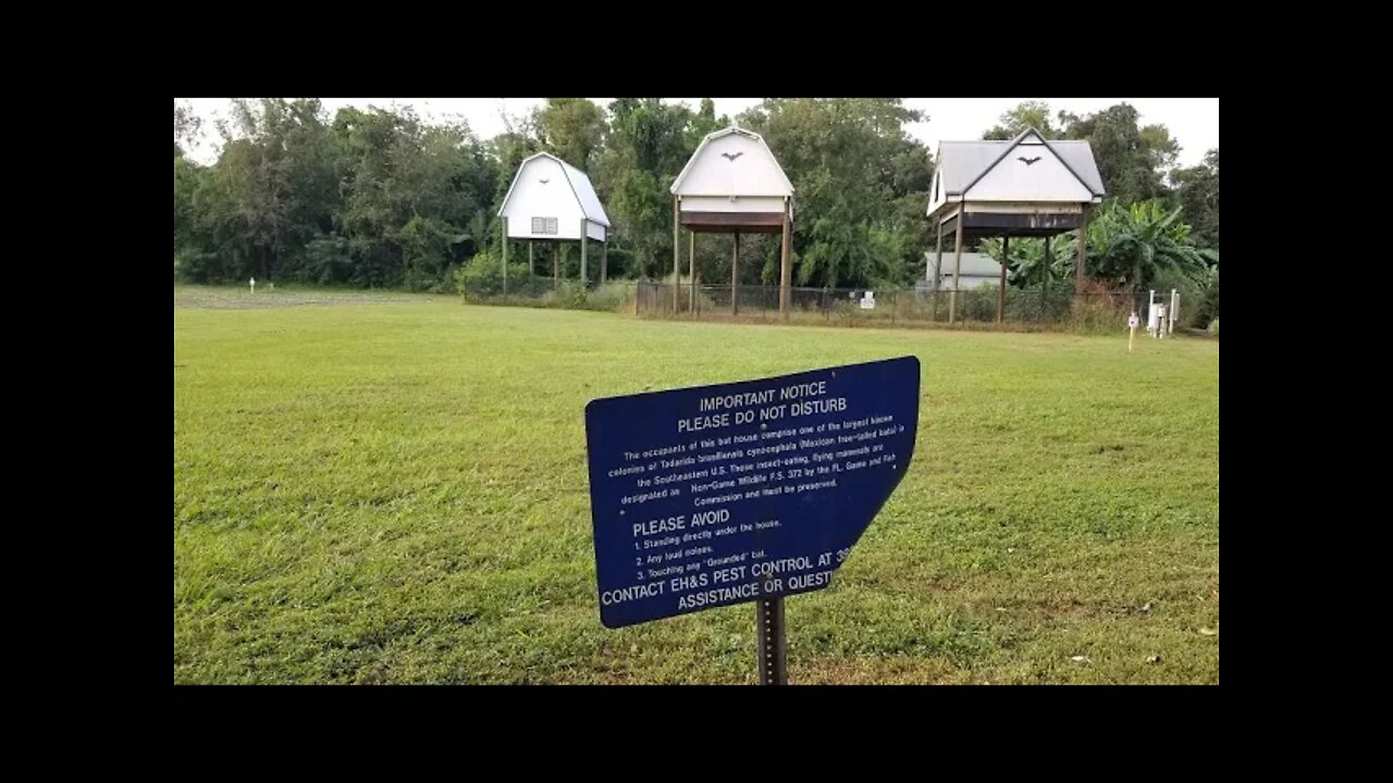 UF Bat Barns & Bat House, Gainesville, FL