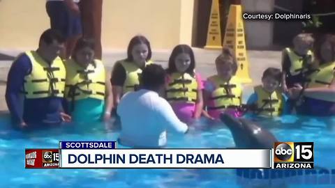 Female dolphin died from 'acute bacterial infection,' Dolphinaris Arizona says