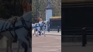 the household cavalry lead the royals in to Buckingham Palace #buckinghampalace