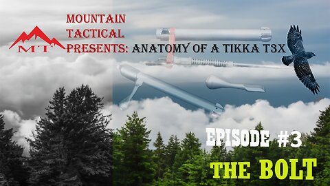 Anatomy of the Tikka T3x - Episode 3: The Bolt