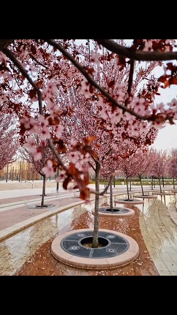 Coming to Krasnodar and not visiting Galitsky Park is the same as never being in Krasnodar!