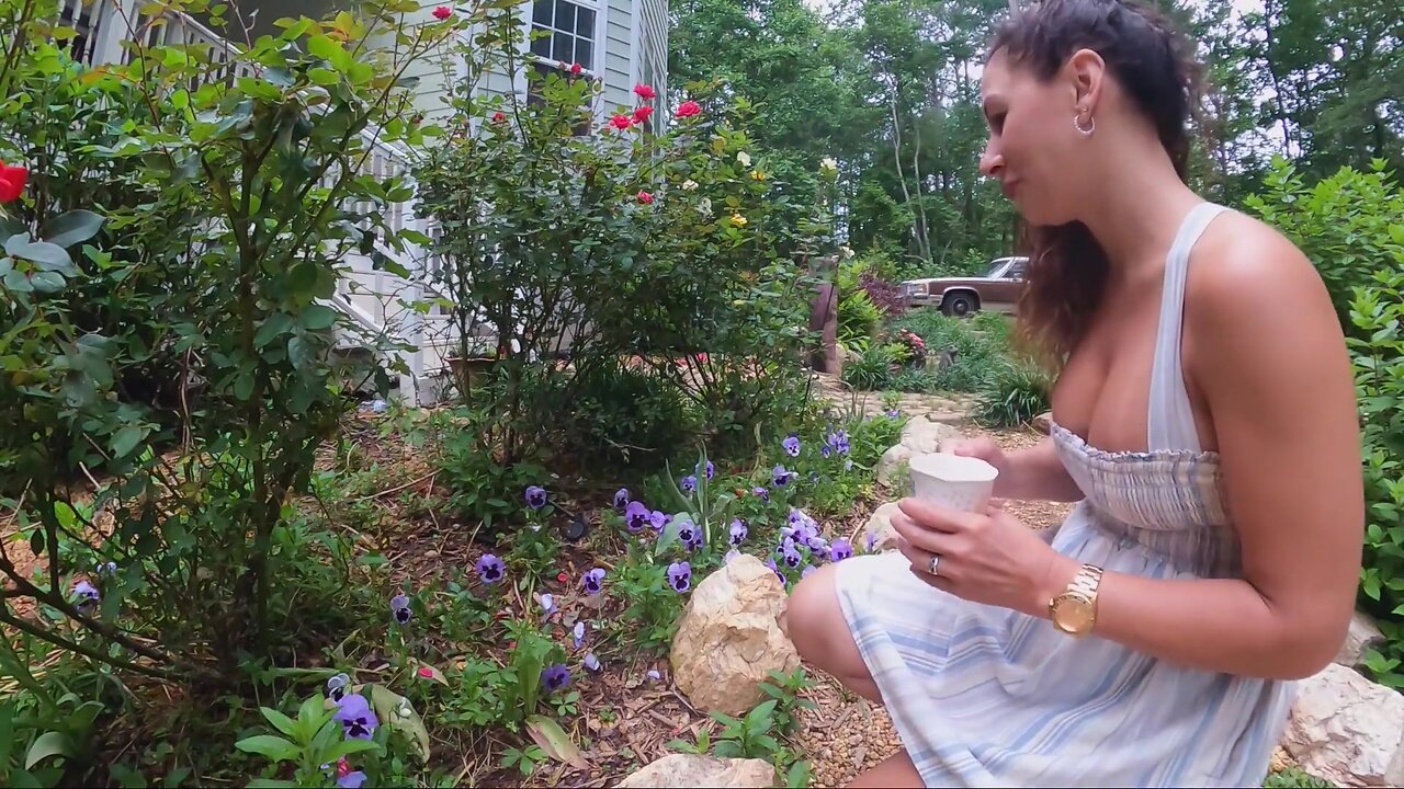 Calm Morning Garden Tour