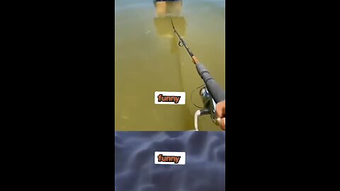 Best funny video of the day 😜😜😜😜 #memes #memedaily #dankmemes #shorts