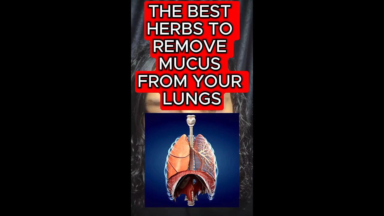 Mucus in the lungs