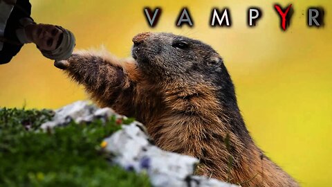 Give Me Something!!!!: Vampyr #20