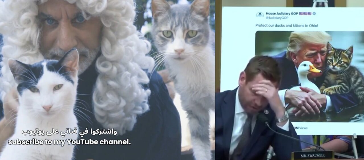 Eric Swalwell Has FULL MELTDOWN Over Online Trump/Cat Meme & Bassem Youssef Returns With Cats