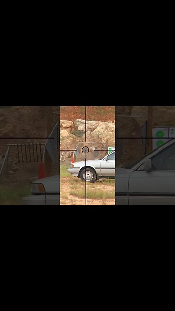 Primary Arms FFP Scope View